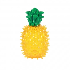 狗狗玩具磨牙菠萝智力狗狗玩具解闷大小狗TPR耐咬发声幼犬 仿真玩具